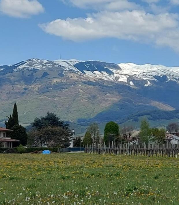 Hotel Locazione Turistica El Sghirlo Vidor Exterior foto